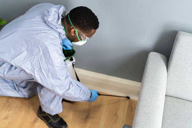 Best Pest Exclusion Services  in Minerva, OH